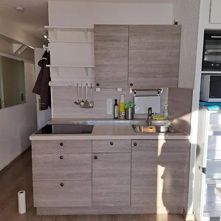 Appartement Les Iris T2 Station De Alpes D'huez *